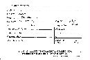 Phlebia radiata image