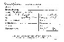 Peniophora anaemacta image