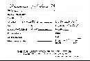 Clavulinopsis laeticolor image