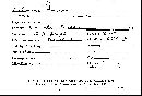 Calocera cornea image