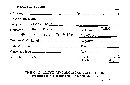Byssomerulius corium image