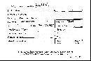 Climacocystis borealis image