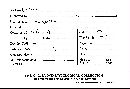 Cylindrobasidium laeve image