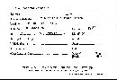 Dendrothele candida image