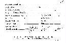 Xylaria apiculata image