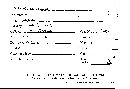 Scleroderma nitidum image