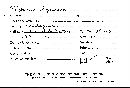 Rigidoporus microporus image