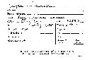 Geoglossum hirsutum image