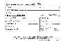 Geoglossum simile image