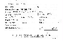 Microporus affinis image