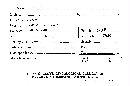 Fomes everhartii image