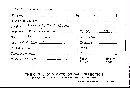 Scleroderma verrucosum image