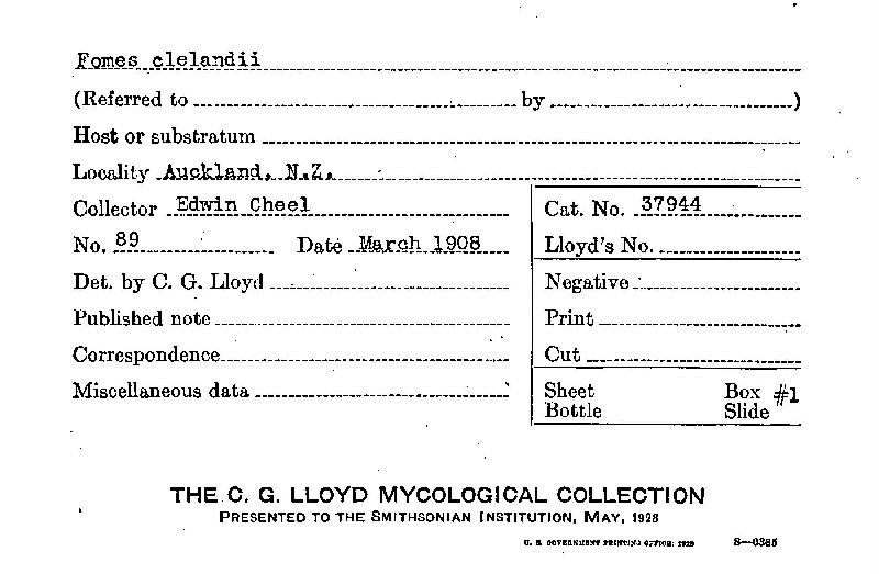 Fomes clelandii image