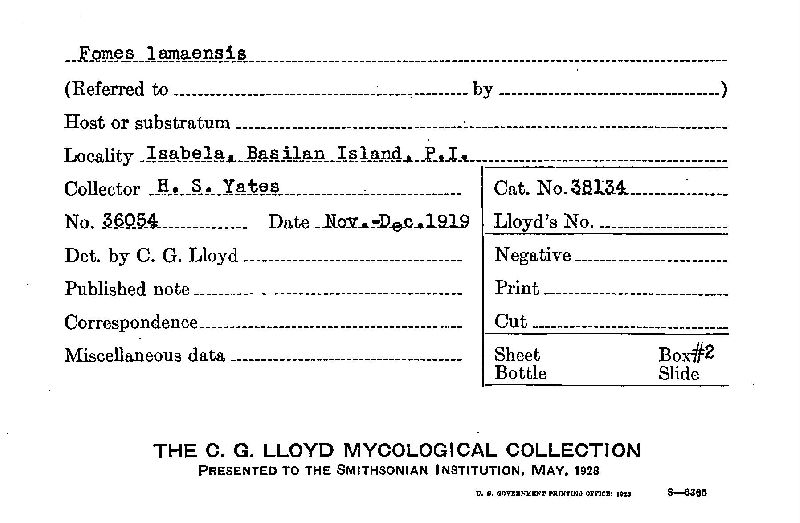 Fomes lamaensis image