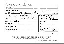 Cylindrobasidium laeve image