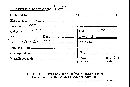 Rigidoporus microporus image