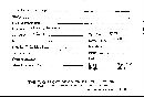 Scleroderma cepa image