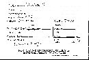 Scleroderma bovista image