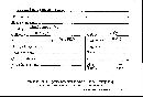 Corticium albulum image