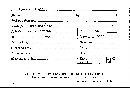 Laxitextum bicolor image