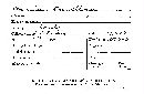 Merulius tremellosus image