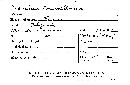 Merulius tremellosus image