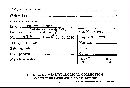 Bjerkandera adusta image