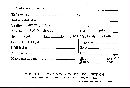 Suillus cavipes image