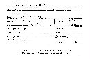 Nolanea incarnata image