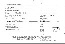 Seismosarca alba image