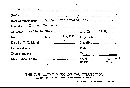 Calocera cornea image