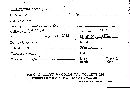 Antrodiella semisupina image