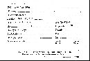 Inonotus hispidus image