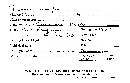 Plicaturopsis crispa image