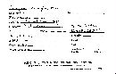 Plicaturopsis crispa image