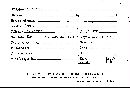 Bjerkandera adusta image