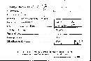 Image of Isaria peckoltii