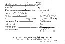 Sarcodontia spumea image