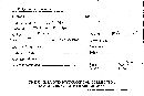 Sarcodontia spumea image