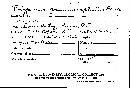 Favolus grammocephalus image