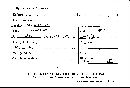 Hypocrea sulphurea image