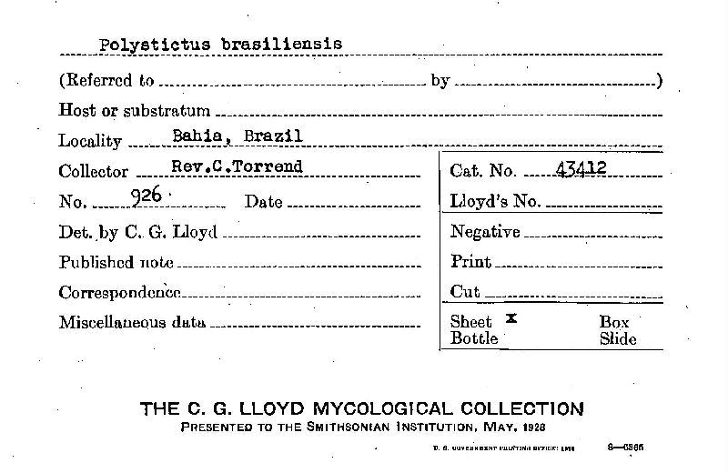 Polystictus brasiliensis image