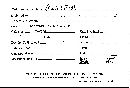 Phaeotrametes decipiens image