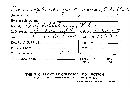 Leucogyrophana olivascens image