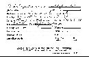 Thelephora multipartita image