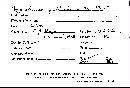 Dichostereum pallescens image