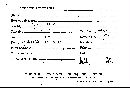 Hypochnicium bombycinum image