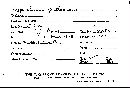 Dichostereum pallescens image