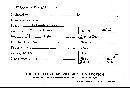 Microporellus obovatus image
