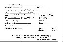 Polyporus rubidus image
